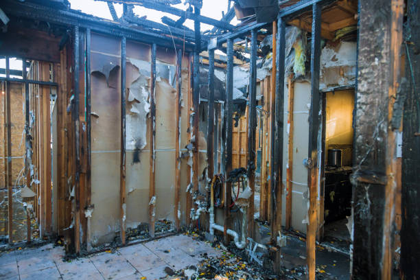 Professional Fire Damage Removal technician working in Ladd, IL